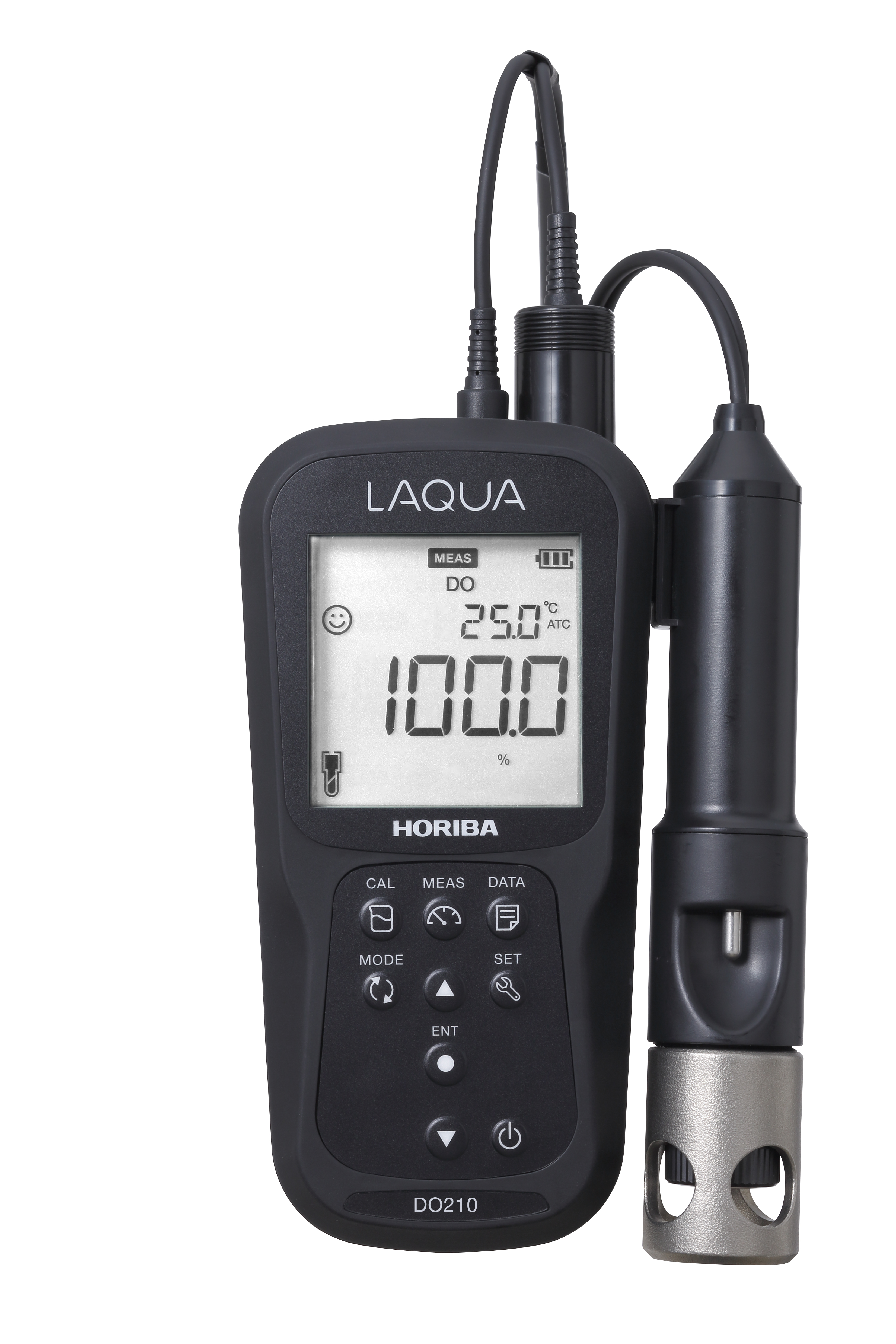 Horiba LAQUA DO210 Temperatur unf Sauerstoff Messgerät in schwarz