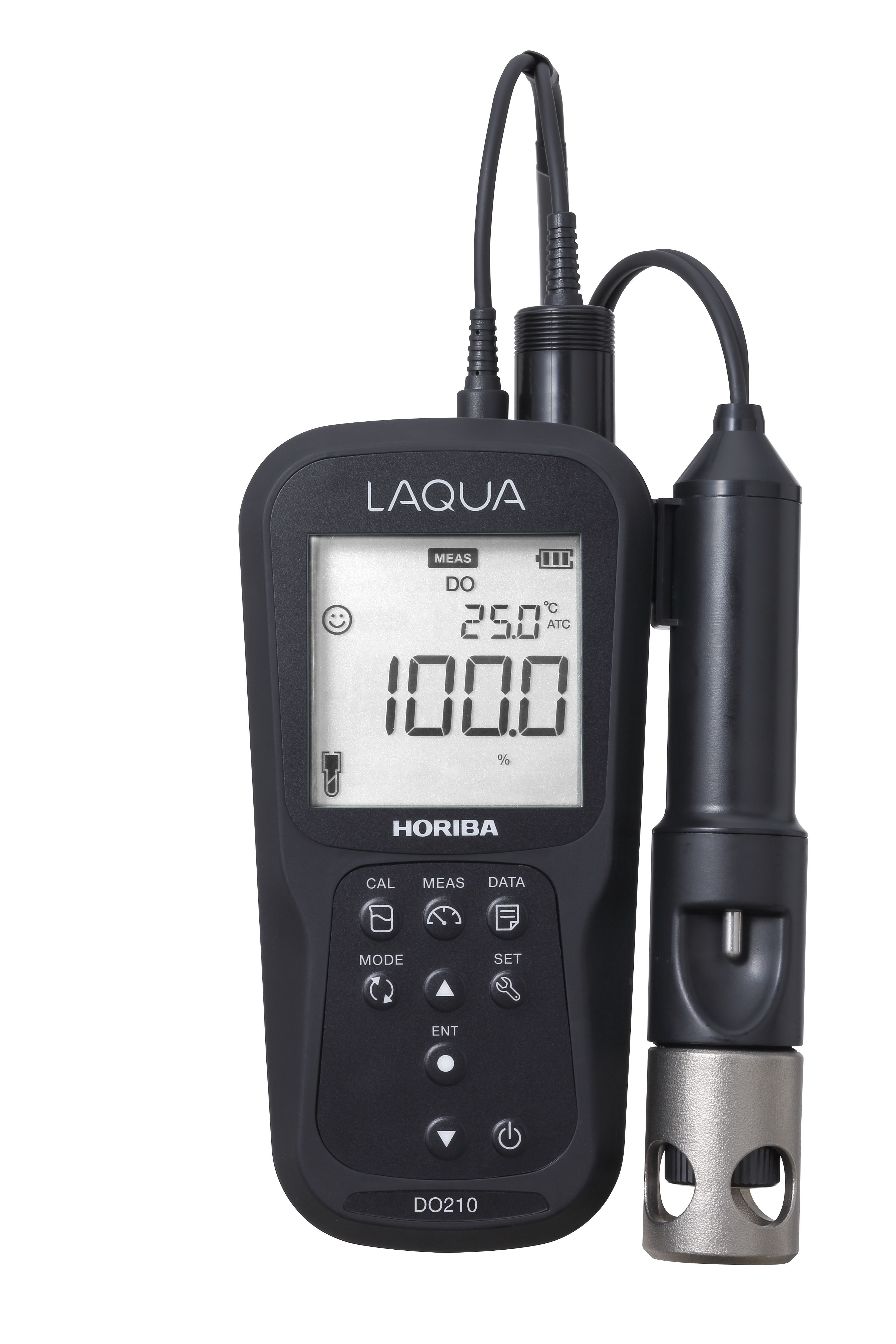 Horiba LAQUA DO210 kit dissolved oxygen and temperature as portable measuring device in measuring case 