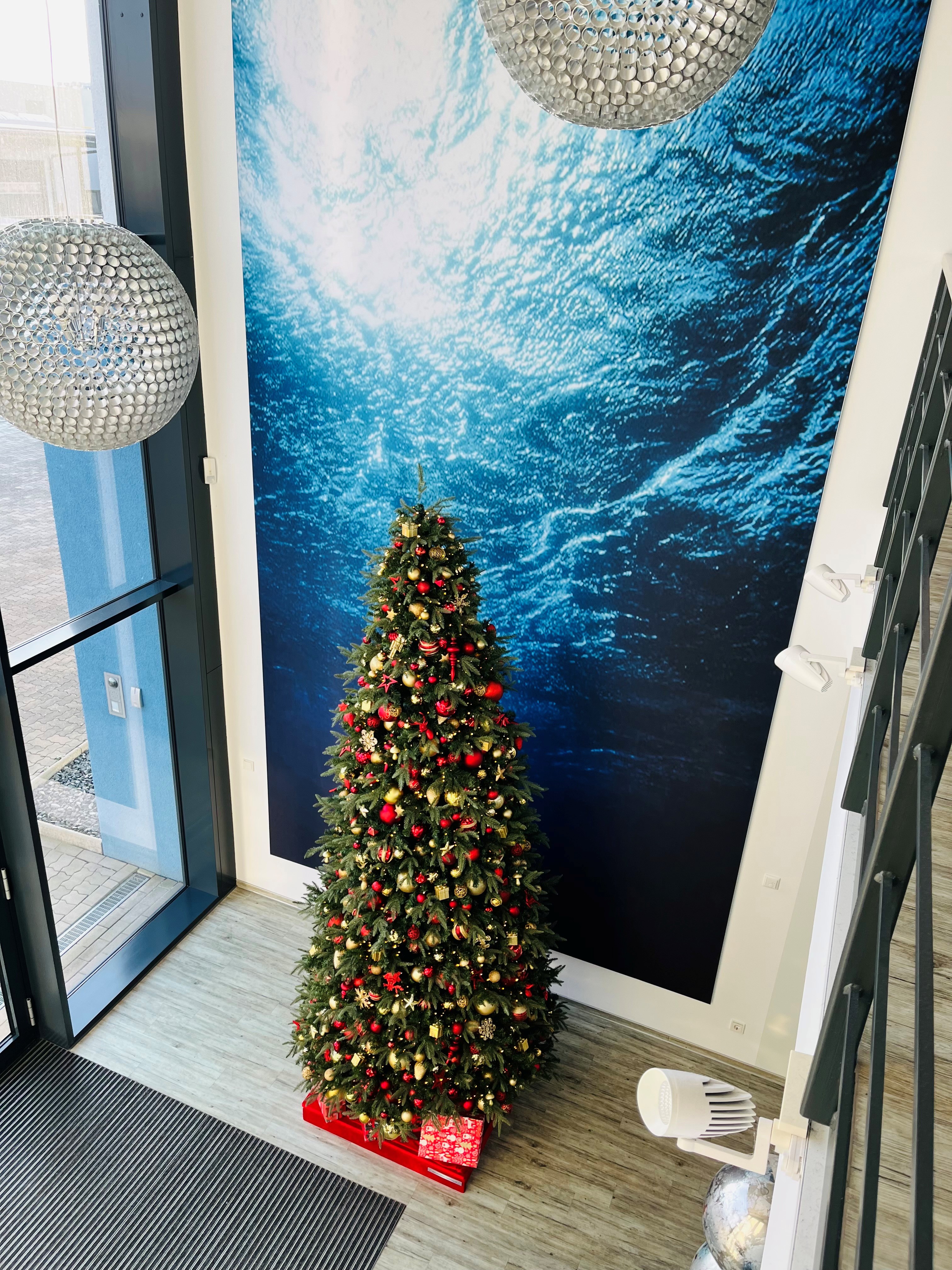 decorated Christmas tree in the entrance area