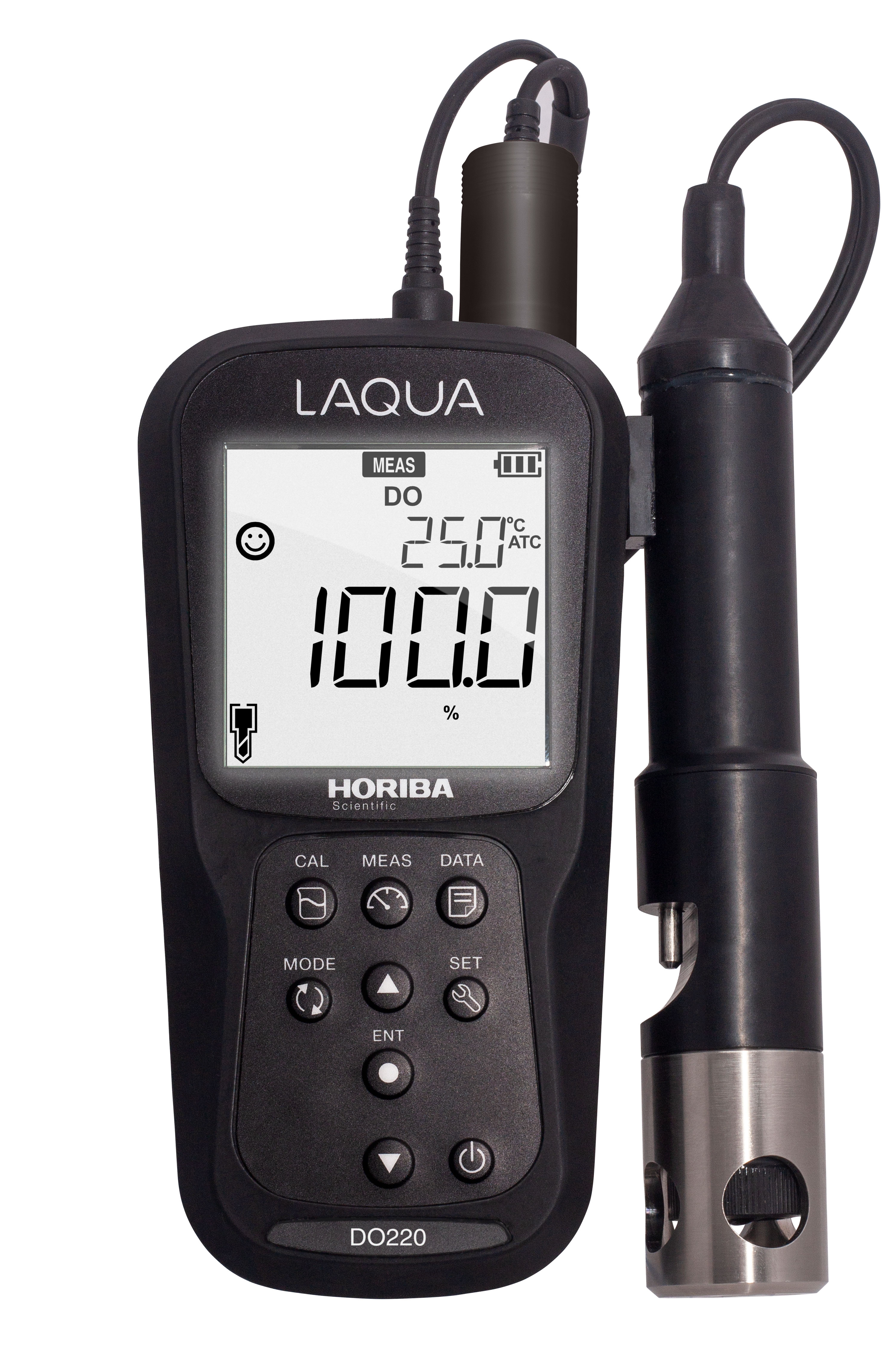 Horiba LAQUA DO220 Messgerät mit Elektrode